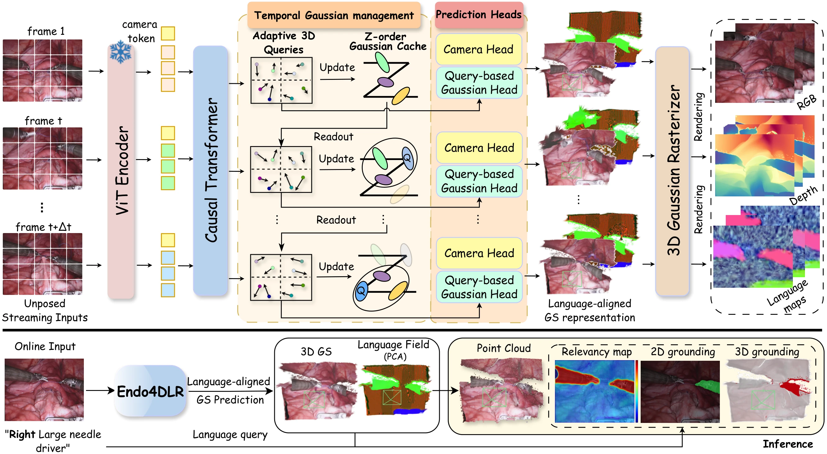 Endo4DLR method: causal reconstruction of language-aligned Gaussians, then online language grounding.